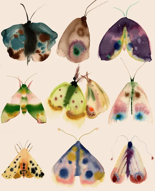 Colorful watercolor moth collection by Nadia Flower arranged in three rows