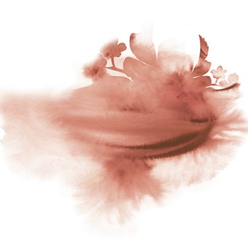 Abstract pink watercolor floral artwork by Nadia Flower