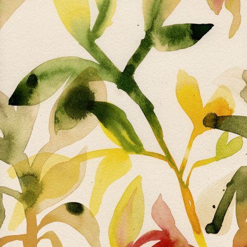 Botanical watercolor leaves and stems by Nadia Flower