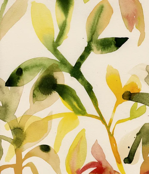 Botanische Aquarellzeichnung von Blättern und Stängeln von Nadia Flower