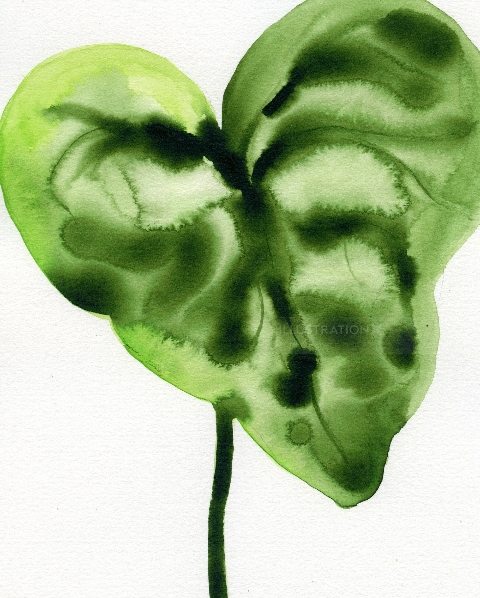 Aquarelle d'une feuille verte en forme de cœur par Nadia Flower