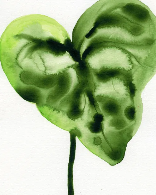 Green heart-shaped leaf watercolor by Nadia Flower