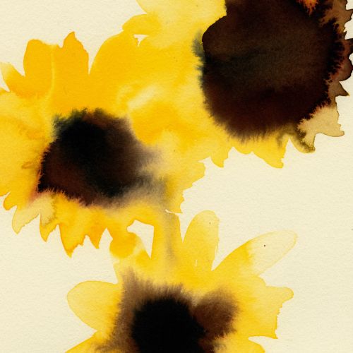 Watercolor painting of three yellow sunflowers by Nadia Flower