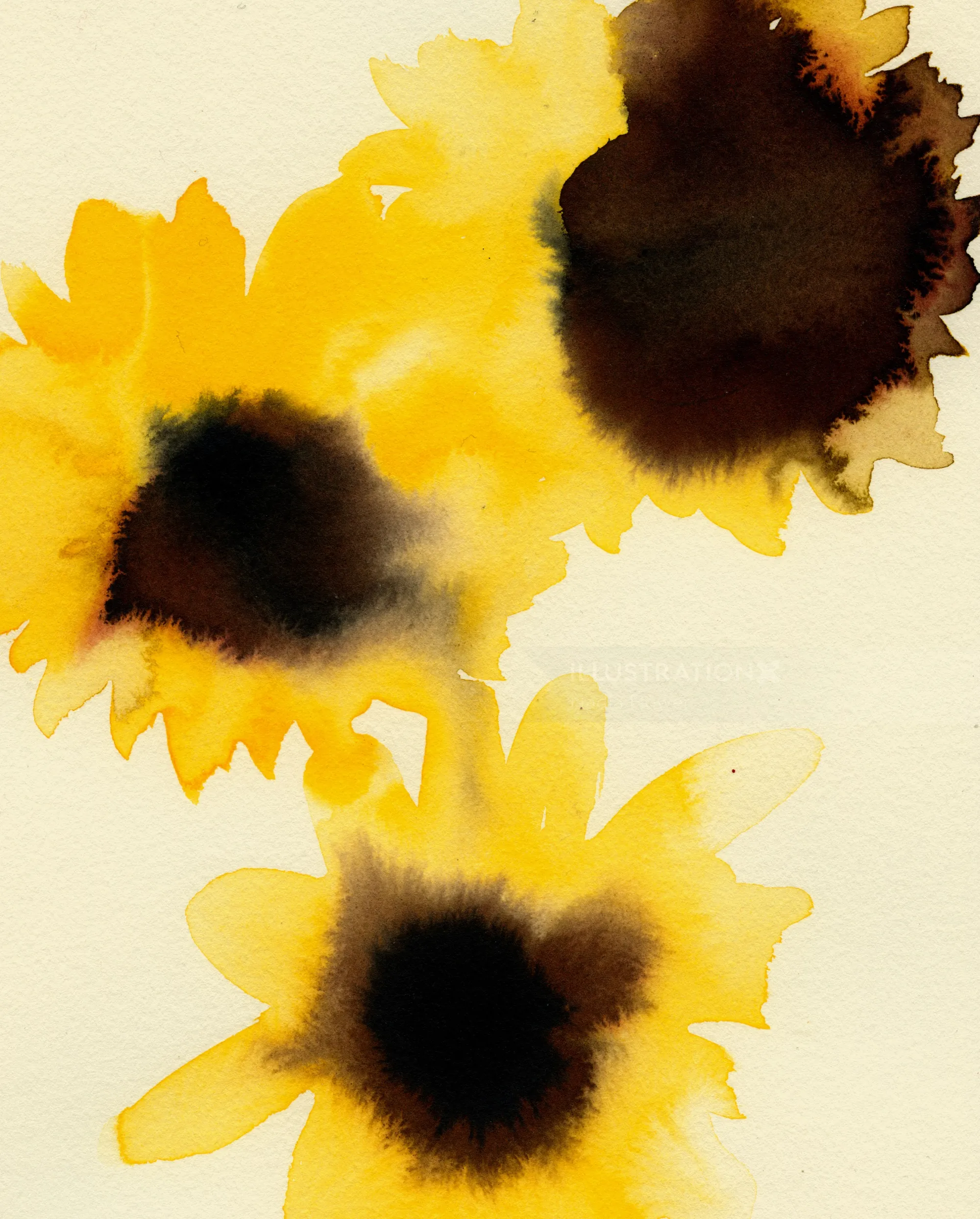 Acuarela de tres girasoles amarillos realizada por Nadia Flower