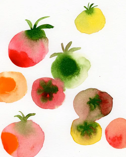 Colorful watercolor tomatoes by Nadia Flower