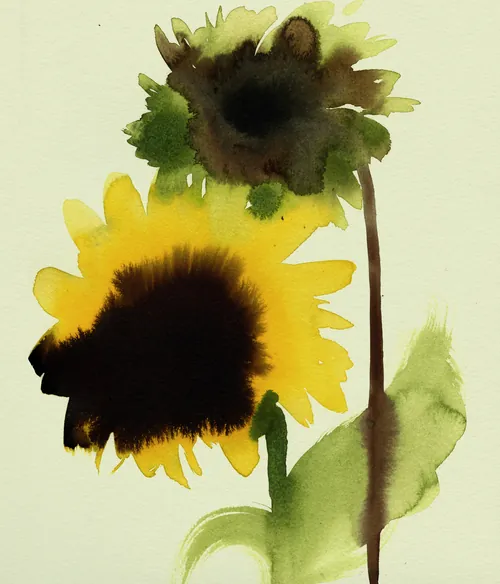 Nadia Flower watercolor painting of two sunflowers with dark centers and green leaves