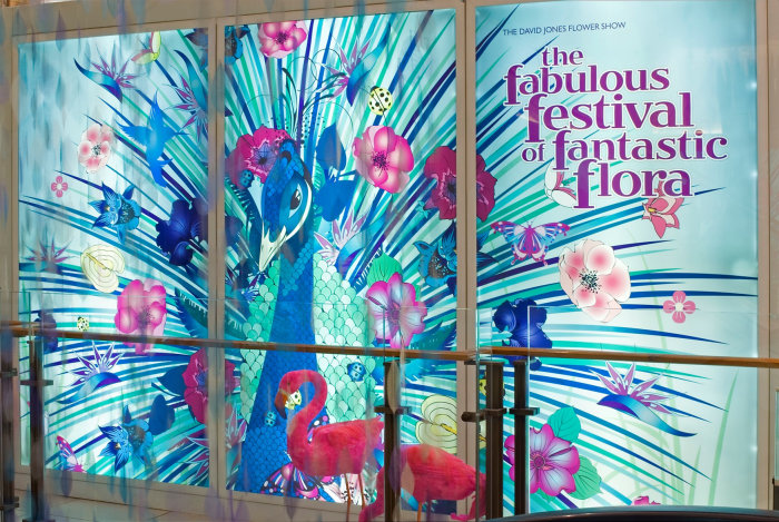 Animals Peacock with lettering for festival
