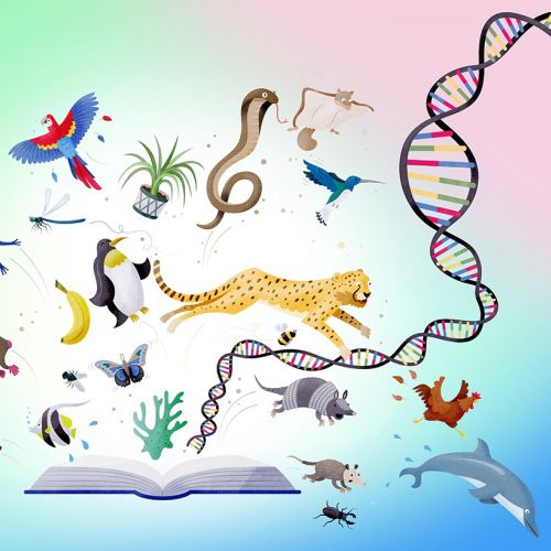 DNA strand with animals and plants emerging from an open book by Tim Bradford