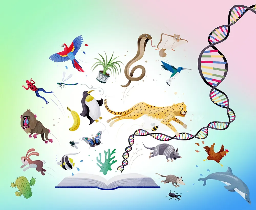 DNA strand with animals and plants emerging from an open book by Tim Bradford