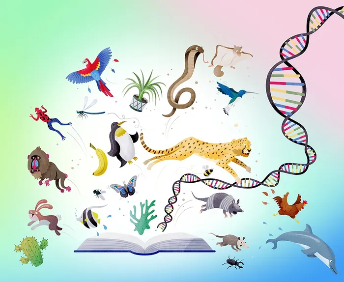 DNA strand with animals and plants emerging from an open book by Tim Bradford