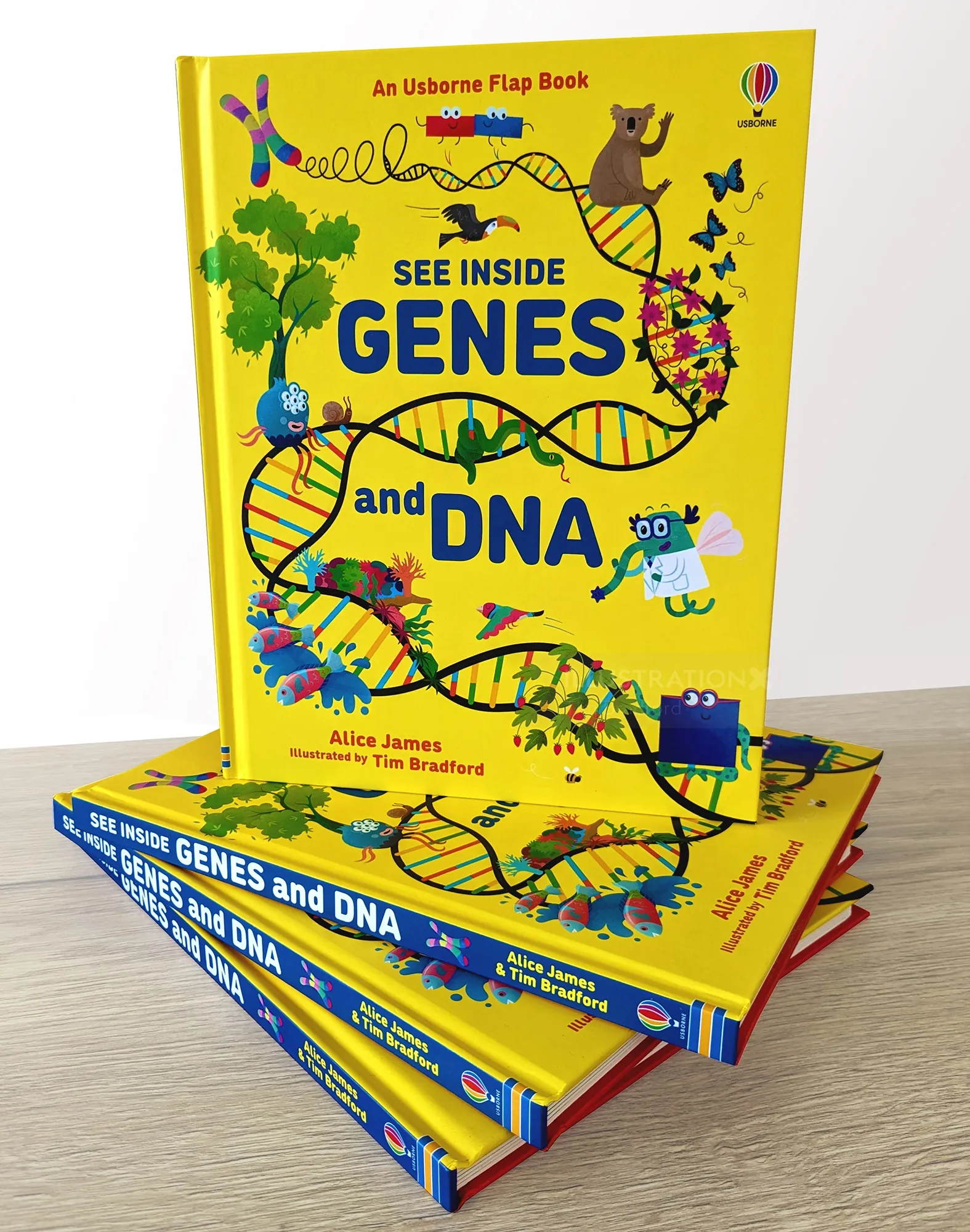 "See Inside Genes and DNA" book cover design