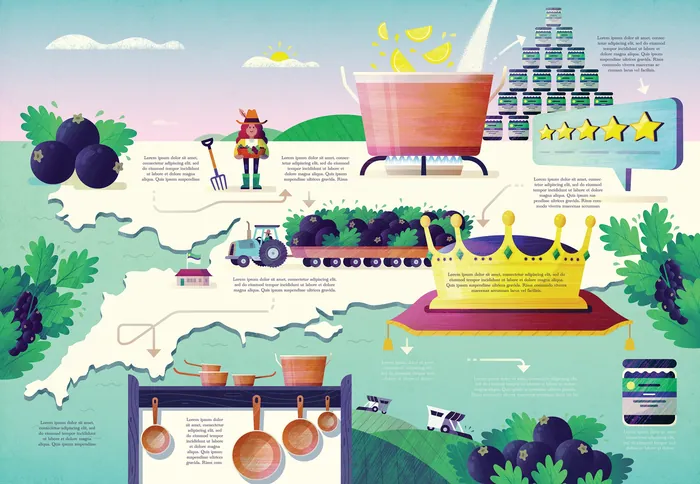 Illustration showing the jam production process from berries to jars