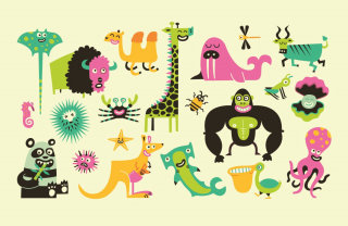 Ilustração de diferentes animais selvagens