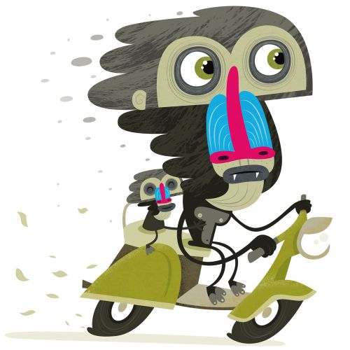 Cartoon & Humor Monkey scooter
