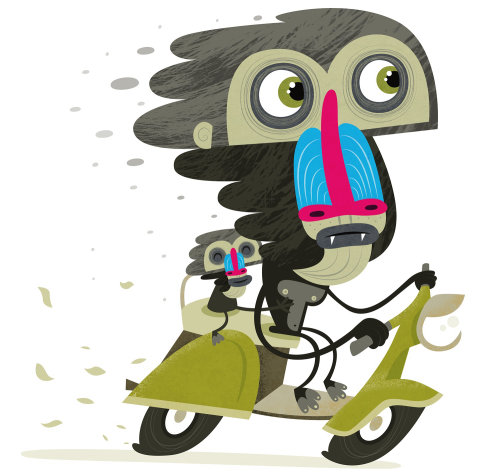 卡通与幽默猴子骑滑板车