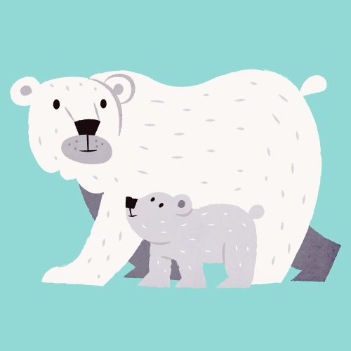 熊和幼崽的动物插图