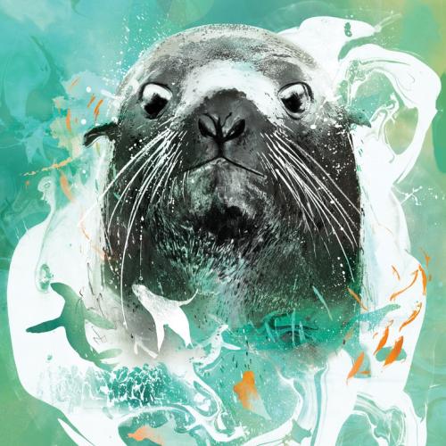 Seattle's Fur Seal