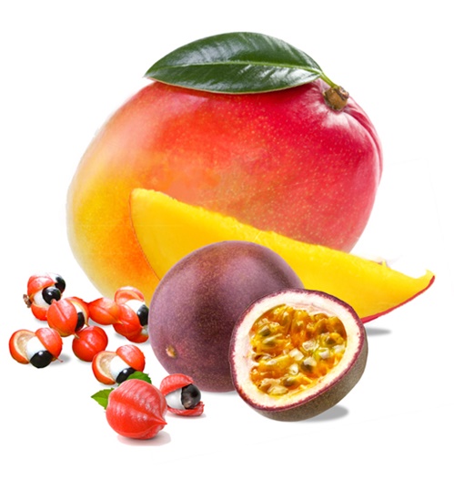 Illustration de fruits de guarana