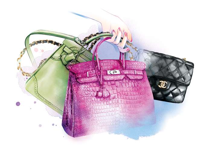 illustrations of Handbag