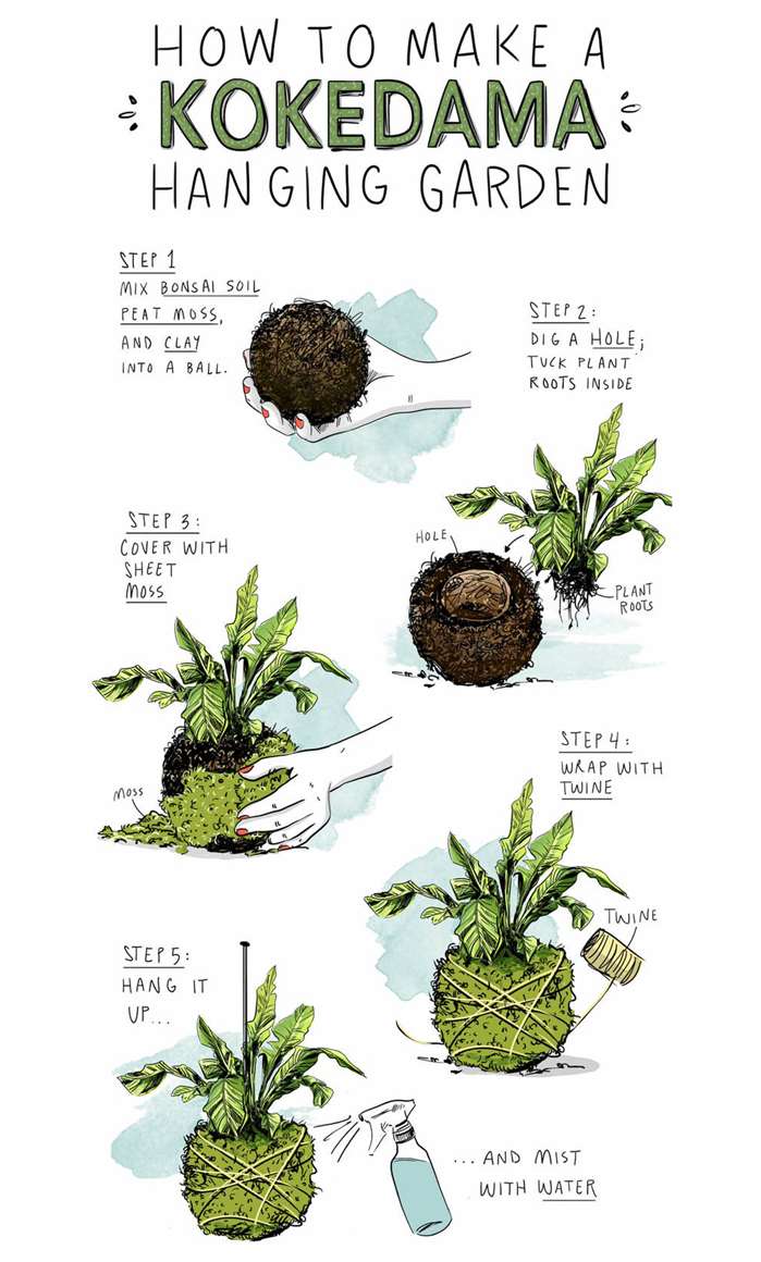 Amber day illustrates hanging garden for Apartment Therapy