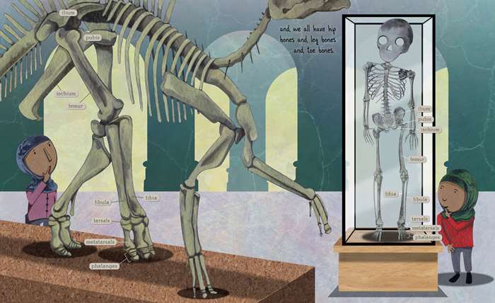 Dinosaur and human bones illustration