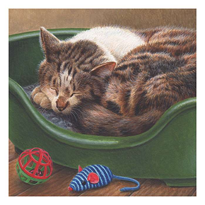 Animal illustration of sleeping cat