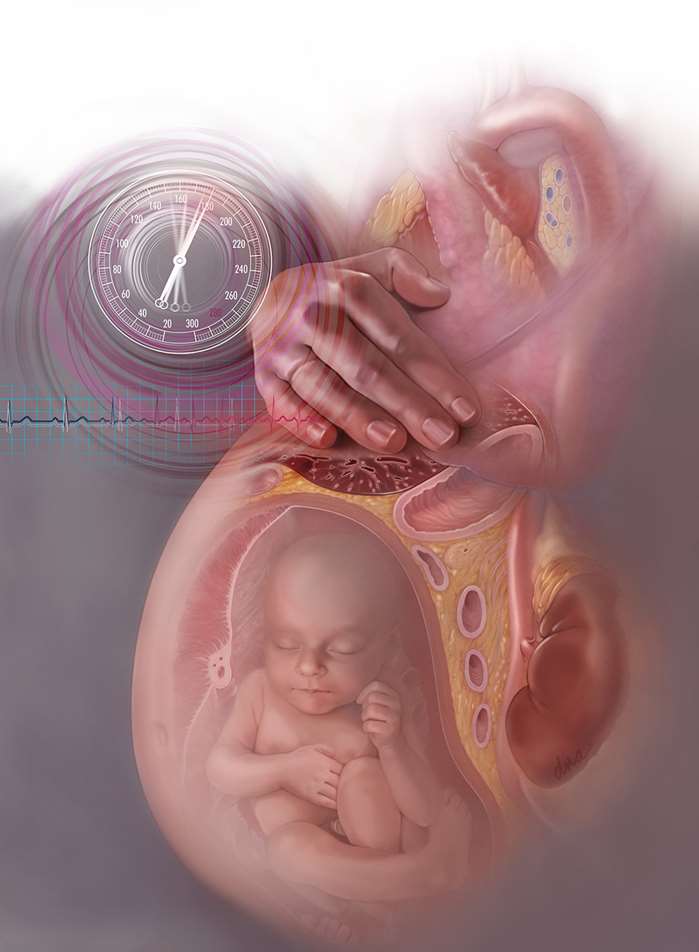 Medical illustration of pregnancy anatomy