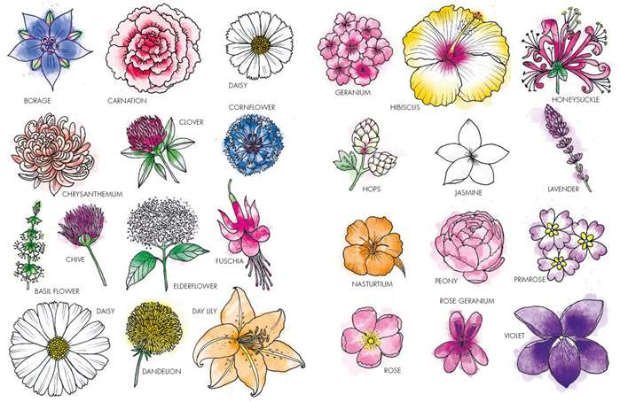 images of flowers and their names