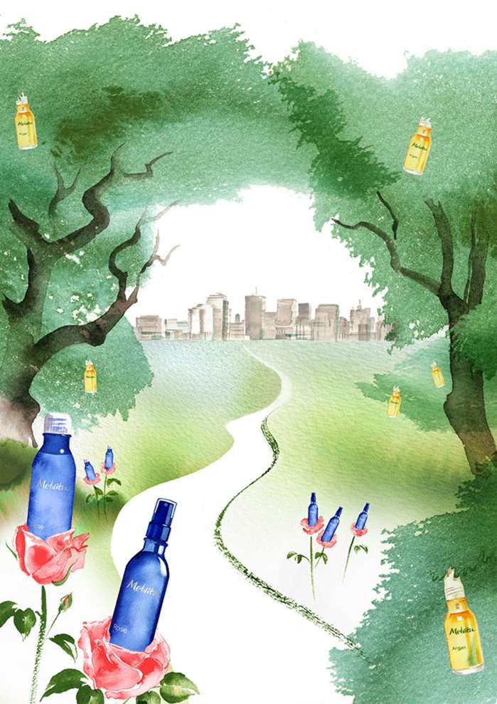 Landscape Illustration For Melvita Cosmetics