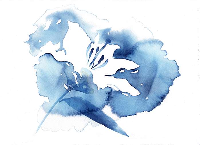 Blue flower watercolour sketch