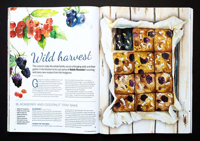Food Illustration For Traybake Recipe