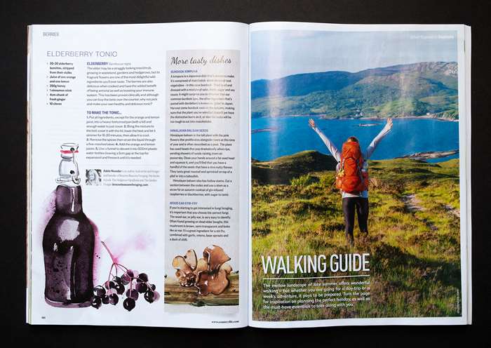 Editorial Illustration For The BBC CountryLife Magazine