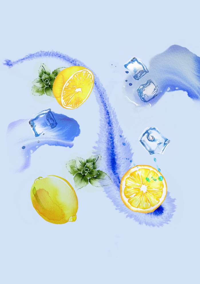 Food Painting of Mint and lemon