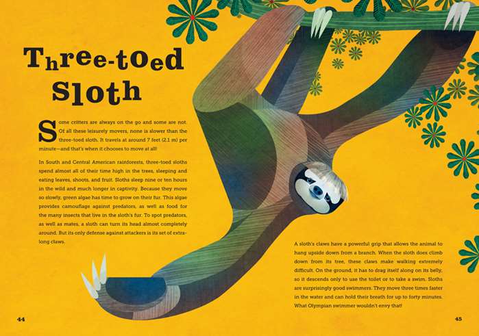 painting of three toed sloth