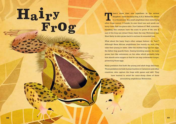 Hairy frog illustration