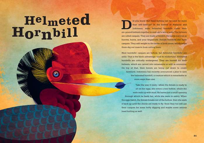 Digital art of helmeted hornbill