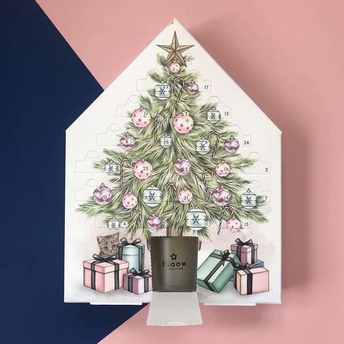 Calendar illustration for Superdrug's own brand Bloom.