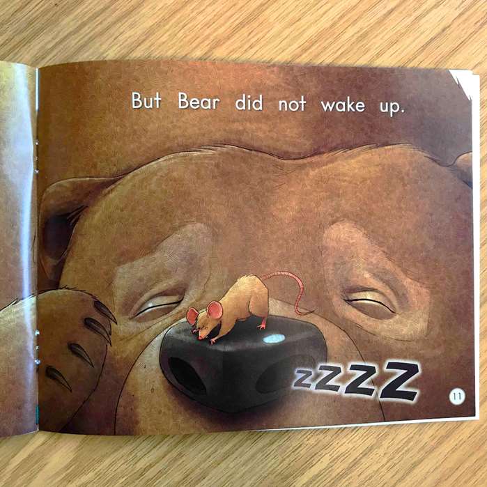 Illustration of Rat is on top of Bear 