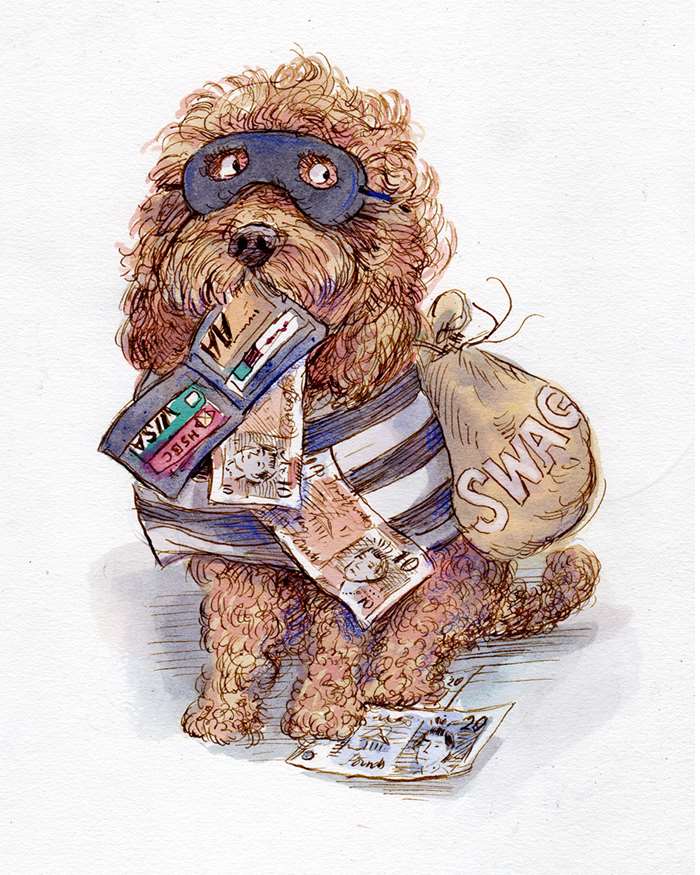 naughty dog stealing money