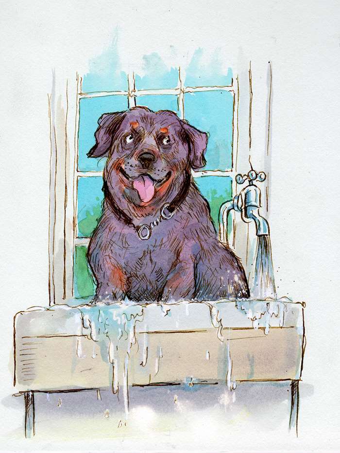 dog sitting in kitchen sink artwork