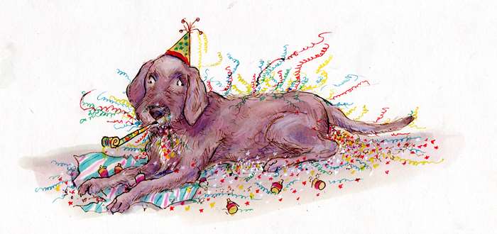 dog ready for birthday with b'day hat