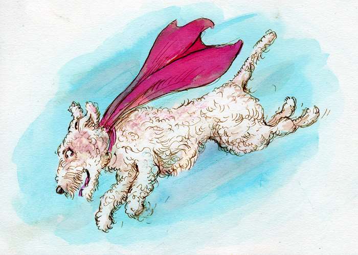 art piece of a super dog