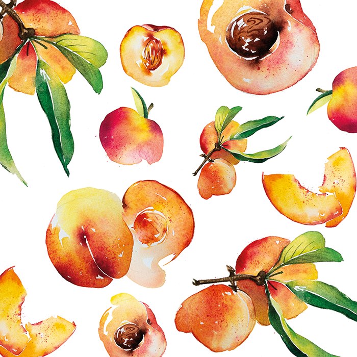 peach illustration by Enya Todd