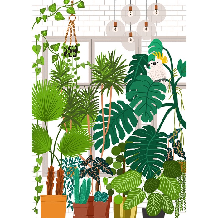 Garden editorial illustration