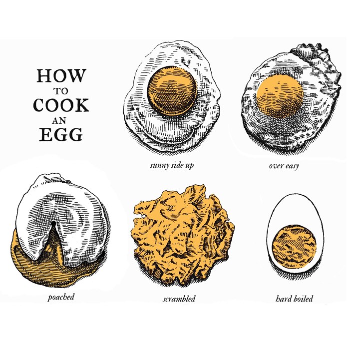 Sketch art of how to cook an egg