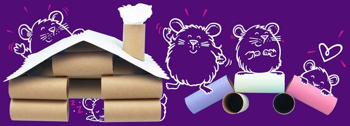 Making house with toilet roll illustration