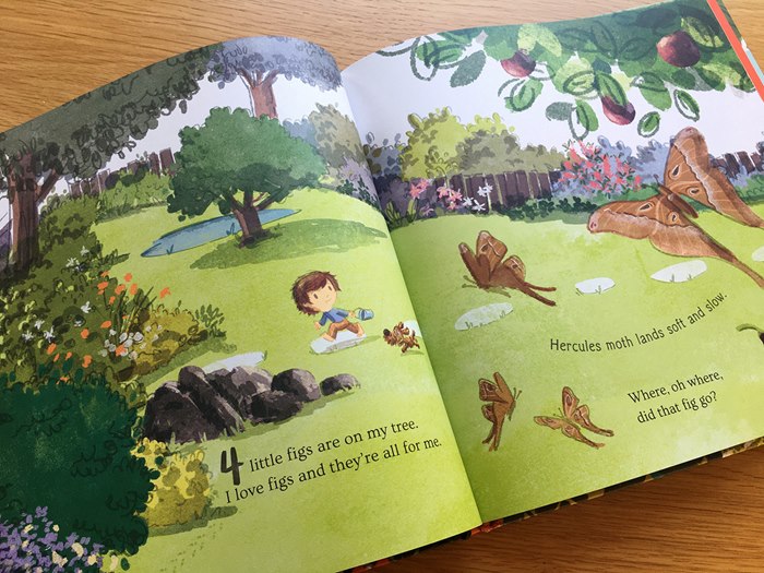 Four little figs on my tree book page illustration