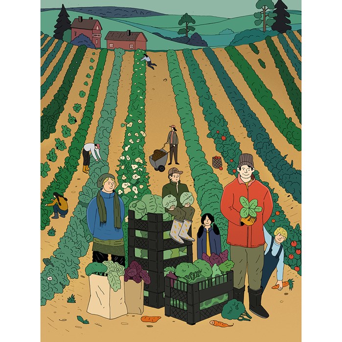 Editorial illustration of Co-operative Farms for Vihreä Lanka magazine