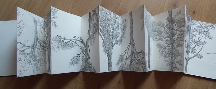 pencil sketch of forest on paper