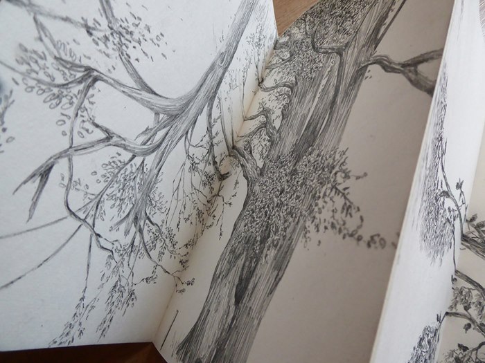 forest sketch by Marieke Nelissen